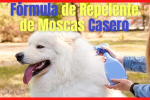 Los Mejores Repelentes de Mosquitos Para Perros: La Guía Definitiva