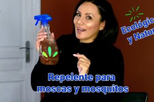 Cómo hacer un Repelente Natural para Moscas y Mosquitos de forma Fácil y Económica