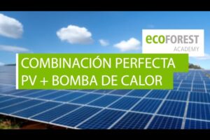 Cómo elegir la mejor bomba de calor con placas solares para tu hogar