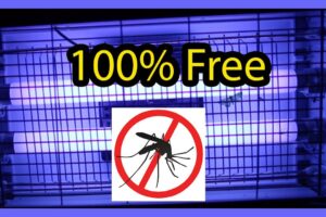 Los mejores Spray Repelentes de Mosquitos: Ecran Repel & Care