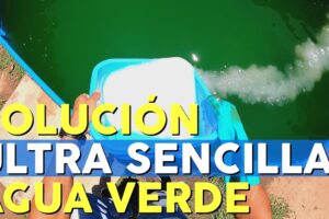 Consejos para recuperar la agua verde de tu piscina desmontable | Soluciones efectivas para el tratamiento de agua de piscinas desmontables